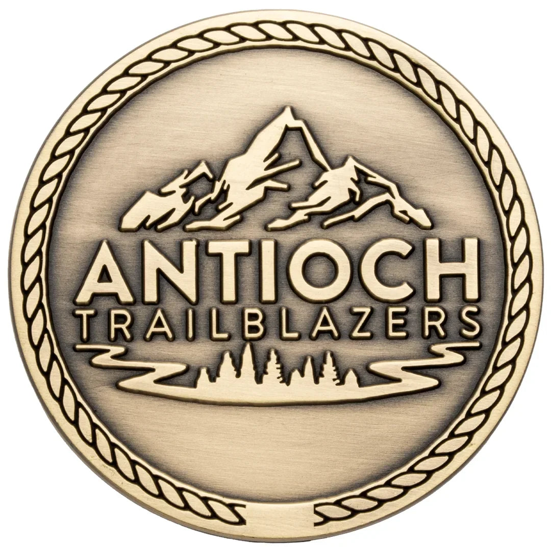 Antiqued bronze medallion showing layered relief in a mountain and pine tree design