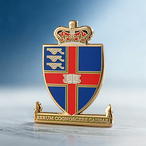 Custom Hard Enamel Pins