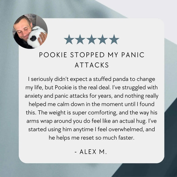 Pookie the Panda Weighted Plush Hugging Animal product image 12 by MZIHO