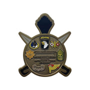 Custom military challenge coin example 7