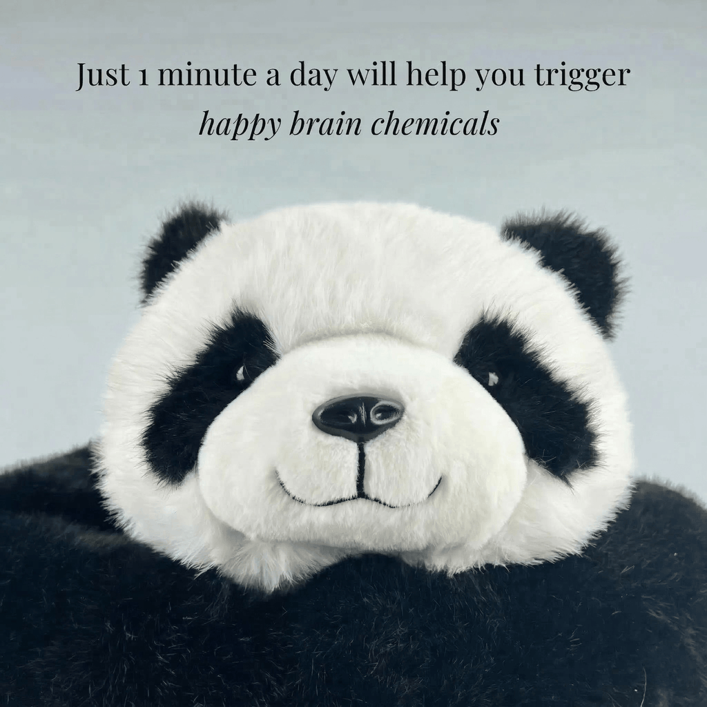 MZIHO™ Pookie the Panda Weighted Plush Hugging Animal