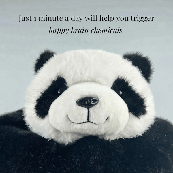 Pookie the Panda Weighted Plush Hugging Animal product image 3 by MZIHO